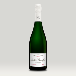 Champagne Brut Millésime 1995 Ambonnay Grand Cru