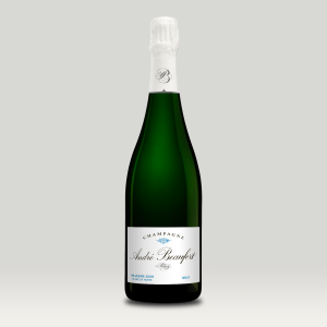 Champagne Brut Millésime 2009 Polisy